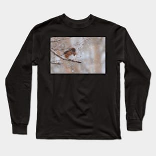 Female Towhee in the Snow Long Sleeve T-Shirt